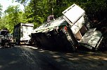 Juni: Lastwagen mit Schweinen umgest&uuml;rzt (Foto: Wiethoff)