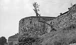 Stadtmauer (Foto: ) Stadtmauer (Foto: )