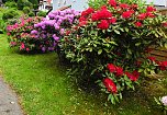 21. Rhododendronfest in S&uuml;lzhayn (Foto: Peter Blei)