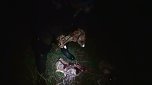 Grausame Jagd auf K&auml;ngurus (Foto: Greg Keightley)