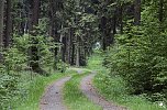 Wandergr&uuml;&szlig;e aus Rothes&uuml;tte (Foto: Christian Schelauske)