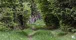 Wandergr&uuml;&szlig;e aus Rothes&uuml;tte (Foto: Christian Schelauske)