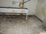 Ehemalige Sanatorien Erholung und Waldpark (Foto: Peter Blei)