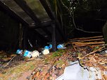 Ehemalige Sanatorien Erholung und Waldpark (Foto: Peter Blei)