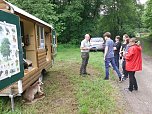 Waldjugendtag im Heringer Goldborntal (Foto: privat)