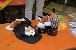 Die Randfichten auf der Waldb&uuml;hne in Hesserode (Foto: Peter Blei)
