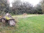 BI k&auml;mpft f&uuml;r den Erhalt des Parks in Werther (Foto: privat)