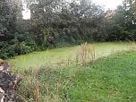 BI k&auml;mpft f&uuml;r den Erhalt des Parks in Werther (Foto: privat)
