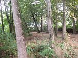 BI k&auml;mpft f&uuml;r den Erhalt des Parks in Werther (Foto: privat)