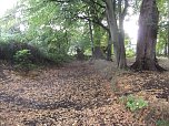 BI k&auml;mpft f&uuml;r den Erhalt des Parks in Werther (Foto: privat)