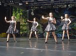 Taimba beim Theaterfest 2016 (Foto: privat)