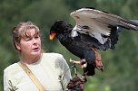 Besuch im Harzfalkenhof (Foto: Harzfalkenhof )
