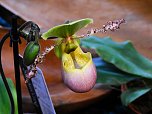 25 Jahre Keramikscheune Spickendorf (Foto: Peter Blei)