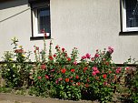Gro&szlig;e Beteiligung am 22."Frankenh&auml;user Blumensommer" 2016 (Foto: Stadtmarketing Bad Frankenhausen)