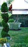 Gro&szlig;e Beteiligung am 22."Frankenh&auml;user Blumensommer" 2016 (Foto: Stadtmarketing Bad Frankenhausen)
