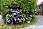 Gro&szlig;e Beteiligung am 22."Frankenh&auml;user Blumensommer" 2016 (Foto: Stadtmarketing Bad Frankenhausen)