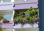 Gro&szlig;e Beteiligung am 22."Frankenh&auml;user Blumensommer" 2016 (Foto: Stadtmarketing Bad Frankenhausen)