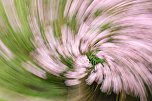 Keine Angst vor dem Herbst (Foto: Eric Paul)