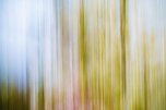 Keine Angst vor dem Herbst (Foto: Eric Paul)