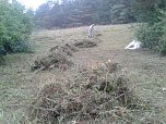 BUND pflegt Orchideenwiese (Foto: privat)