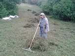 BUND pflegt Orchideenwiese (Foto: privat)
