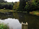 Hardt-Teich bei Neustadt (Foto: Peter Blei)