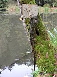 Hardt-Teich bei Neustadt (Foto: Peter Blei)