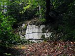 Hardt-Teich bei Neustadt (Foto: Peter Blei)