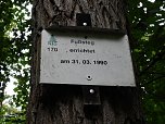Hardt-Teich bei Neustadt (Foto: Peter Blei)