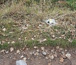 Vom Wanderweg zur M&uuml;lldeponie (Foto: privat)