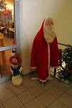 Hase Hops im Weihnachtsstress (Foto: Karl-Heinz Herrmann)