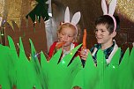 Hase Hops im Weihnachtsstress (Foto: Karl-Heinz Herrmann)
