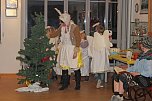 Hase Hops im Weihnachtsstress (Foto: Karl-Heinz Herrmann)