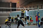 SVC - VC Dresden II - ein mühevoller Heimsieg für die Nordhäuser (Foto: Sandra Arm) SVC - VC Dresden II - ein mühevoller Heimsieg für die Nordhäuser (Foto: Sandra Arm)
