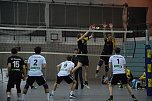 SVC - VC Dresden II - ein mühevoller Heimsieg für die Nordhäuser (Foto: Sandra Arm) SVC - VC Dresden II - ein mühevoller Heimsieg für die Nordhäuser (Foto: Sandra Arm)