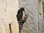 Weihnachtlicher Rundgang durch Quedlinburg (Foto: Peter Blei)
