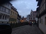 IFAraner unterwegs in Quedlinburg (Foto: privat)