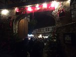 IFAraner unterwegs in Quedlinburg (Foto: privat)