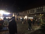 IFAraner unterwegs in Quedlinburg (Foto: privat)