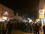 IFAraner unterwegs in Quedlinburg (Foto: privat)