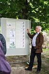 Der Tag der St&auml;dtebauf&ouml;rderung 2017 in Bad Frankenhausen (Foto: Stadtmarketing Bad Frankenhausen)