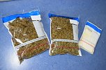 Cannabis-Plantage in Sundhausen (Foto: Polizei)