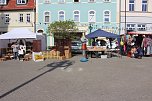 Fliederz&uuml;chtung nach Bad Frankenhausen benannt (Foto: Karl-Heinz Herrmann)