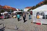 Fliederz&uuml;chtung nach Bad Frankenhausen benannt (Foto: Karl-Heinz Herrmann)