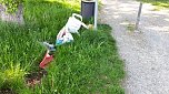 Sondershausen macht sich schick (Foto: Privat)