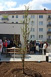 "Fortschritt" feiert Einzug in Gesch&auml;ftsstelle (Foto: Karl-Heinz Herrmann)