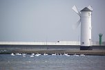Auf Entdeckungstour in Swinem&uuml;nde (Foto: Kurt Frank)