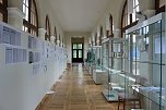 Überraschender Fund im Schlossmuseum Sondershausen (Foto: Karl-Heinz Herrmann) Überraschender Fund im Schlossmuseum Sondershausen (Foto: Karl-Heinz Herrmann)
