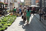 Verwegener Vorschlag? (Foto: Karl-Heinz Herrmann)