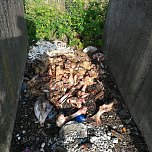 Schlachtabf&auml;lle entsorgt (Foto: privat)